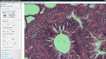 Lumenera INFINITY ANALYZE Introduction & Overview Tutorial