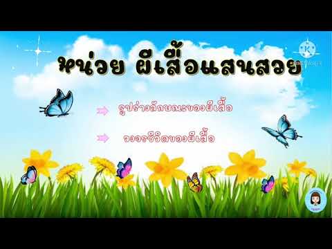 ลักษณะของผีเสื้อ วงจรชีวิตของผีเสื้อ🦋🐛#หน่วยผีเสื้อแสนสวย