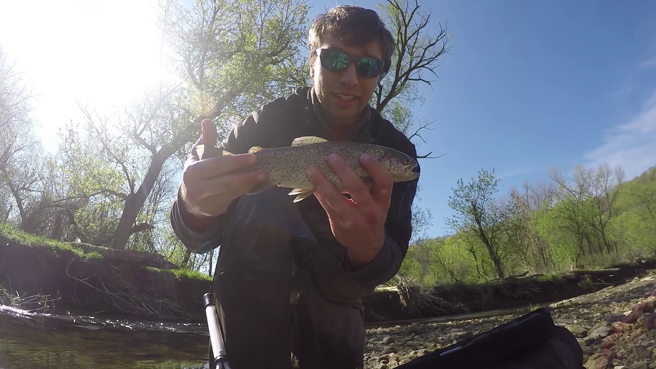 Northeast Iowa trout fishing NEW STREAM BROKE MY GOPRO YouTube