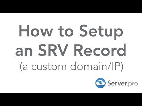 How to Setup an SRV Record (a custom domain/IP) - Server.pro