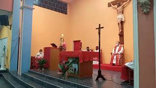 Video thumbnail of "Sequência  de Pentecostes"