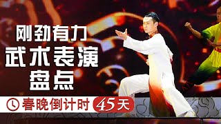 刚劲有力 气吞山河 历年春晚震撼人心的武术表演都在这儿啦！ | CCTV春晚