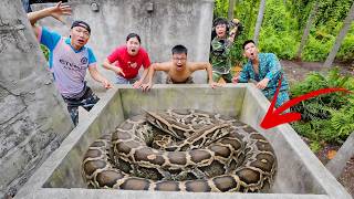 Brave Experts Rescue Ethnic Girl from 100 Giant Snakes in Abandoned Area