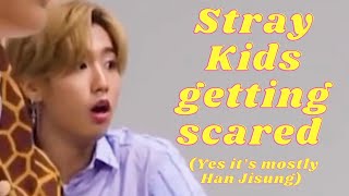 Stray Kids getting Scared\/Startled