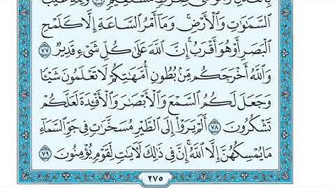 تلاوة سورة النحل من الآية 79 إلى الآية 83