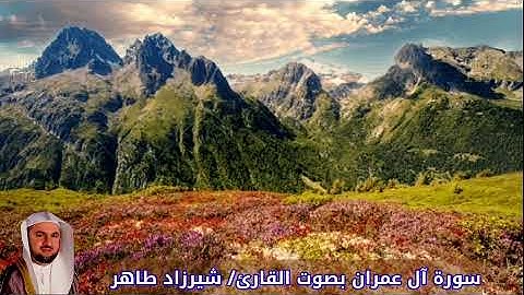 سورة آل عمران بصوت القارئ/ شيرزاد طاهر - Surat Al Imran
