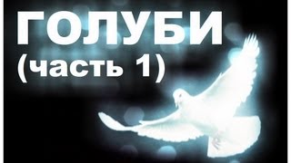 Галилео. Голуби (часть 1)