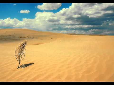 Удивительный мир пустыни Каракумы.wmv