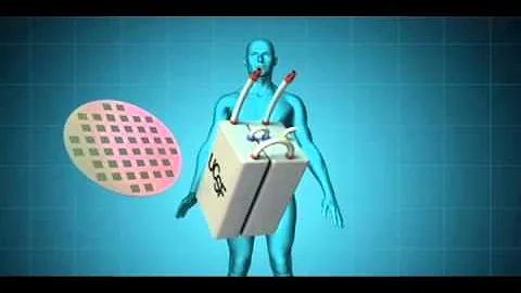 Bio Artificial Kidney