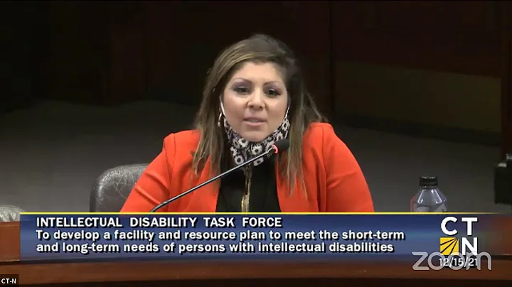Needs of Persons with Intellectual Disability Task...