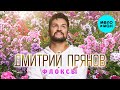 Дмитрий Прянов - Флоксы (Single 2024)