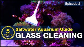 Tips for crystal clear saltwater aquarium glass ways keep it that way! screenshot 4