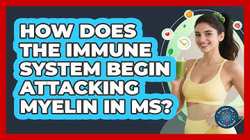 How Does The Immune System Begin Attacking Myelin In MS? - All About the Immune System