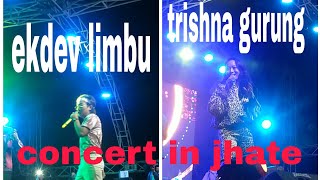 Jante concert vlog with @trishna gurung and @ekdev limbu ?️#bishal vlog #trishan gurung