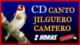 EDUCAR JILGUEROS A CANTE CAMPERO. 2HORAS. CADERNERA GOLDFINCH CHARDONNERET COLORIN CD CONCURSOS 🐦 screenshot 5