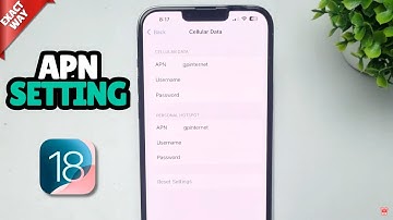 iOS 18: How To Access APN Settings