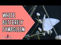 White Butterfly Symbolism