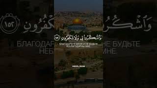 ALLAHU AKBAR ! #коран #рек #напоминание #субханаллах