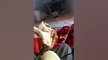 سکسی 