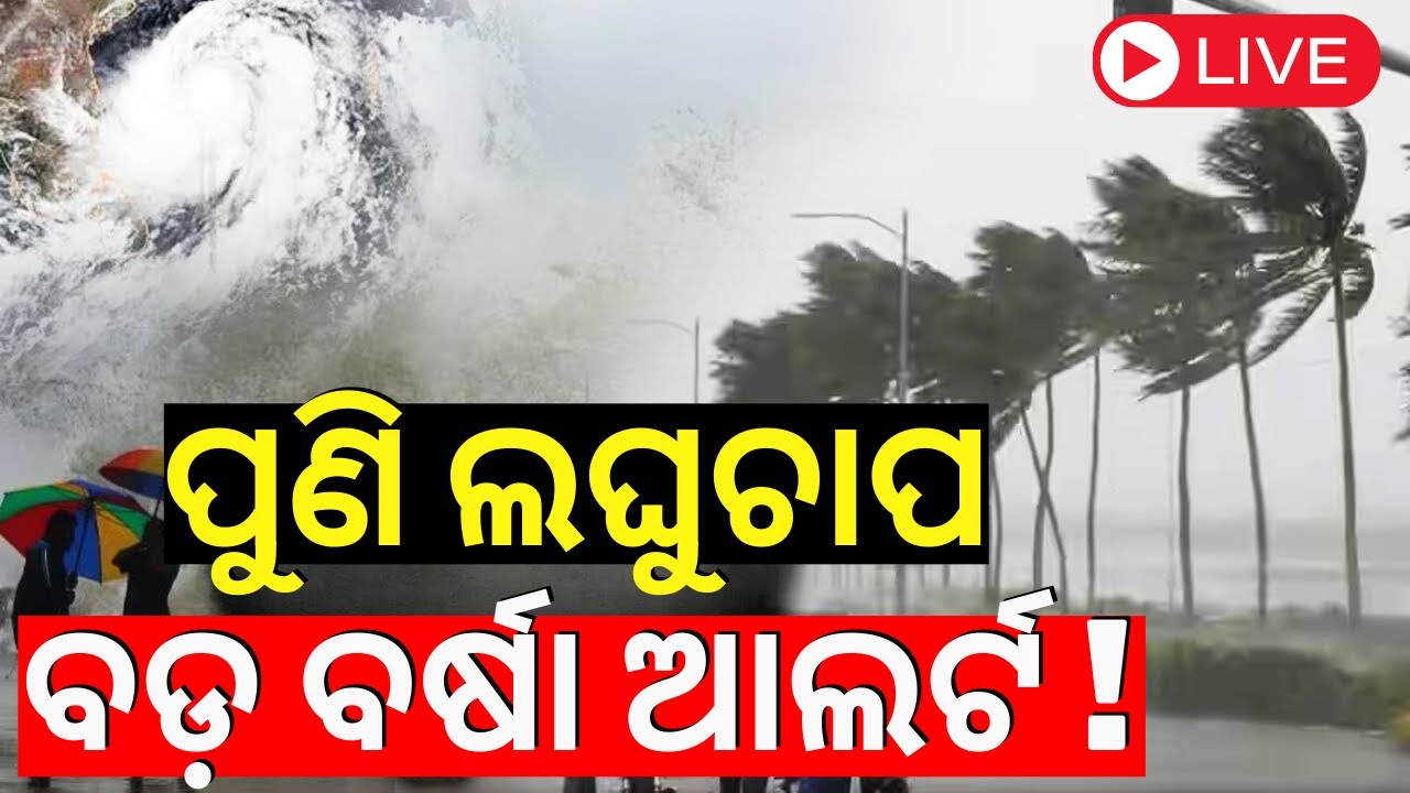 LIVE | ବଙ୍ଗୋପସାଗରରେ ବଡ଼ ଲଘୁଚାପ ଆଲର୍ଟ | Low Pressure Likely Over Bay Of Bengal|Odisha Rain|Rain News