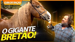 BRETÃO, UM MONSTRO DE CAVALO! | RICHARD RASMUSSEN