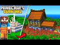 I built an iron farm in minecraft 120 survival