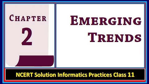 NCERT Solution IP Class 11 | Chapter 2 | Emerging Trends