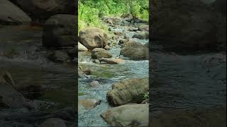 Real nature water sounds #nature #sleeping #waterfall #water #therealrelaxation #naturalwatersound