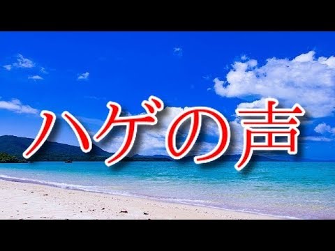 海の声　浦島太郎　【替え歌】ハゲの声　au三太郎CM