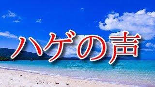 海の声　浦島太郎　【替え歌】ハゲの声　au三太郎CM