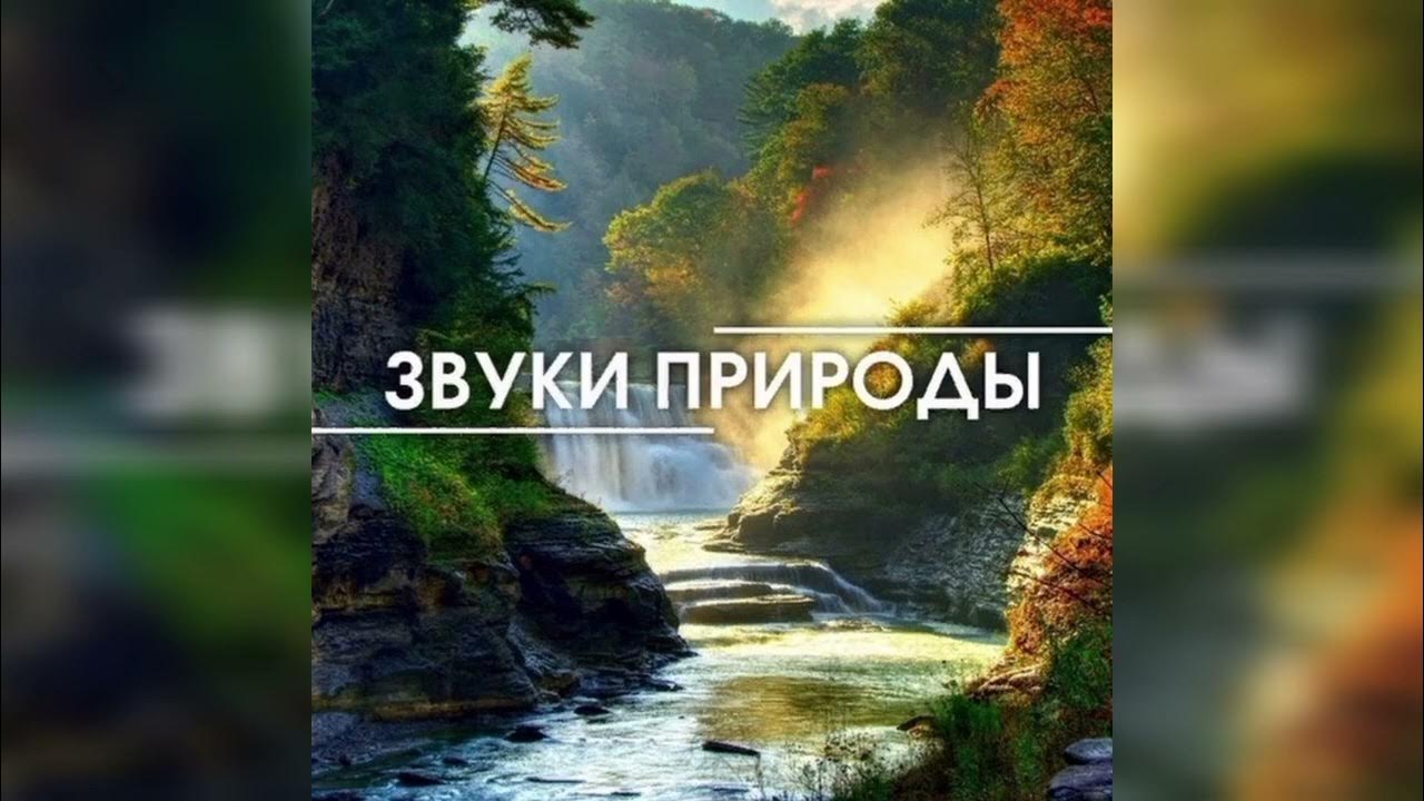 Давайте звуки природы. Звуки природы. Природные звуки. Обложка природа. Приятные звуки природы.