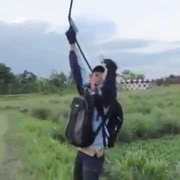 Mudik gratis