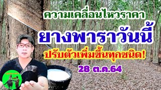 ราคายางพาราวันนี้ ปรับตัวดีขึ้นทุกชนิด 28 ตุลาคม 2564