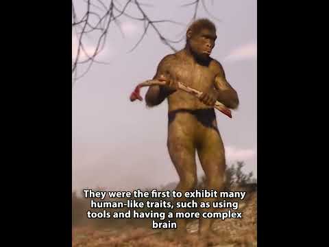 World History Chapter 1 Part 2: Homo Habilis | PREHISTORY