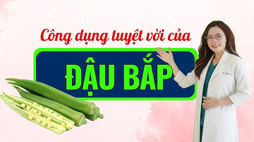 Điều gì xảy ra khi ăn đậu bắp mỗi ngày - Bác sĩ Nguyên