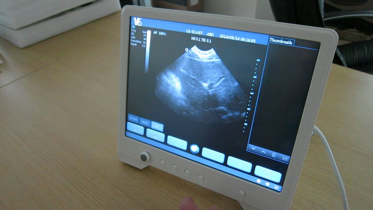 vis scan pad touch screen veterinary ultrasound system ultrasound machine