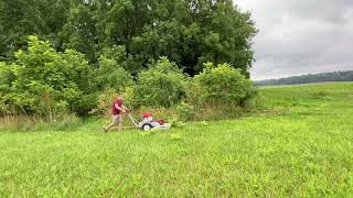 Mowing Along The Woods by Power Dog Equipment 48 views 10 months ago 1 minute, 46 seconds