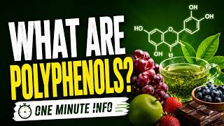 What are Polyphenols - One Minute Info