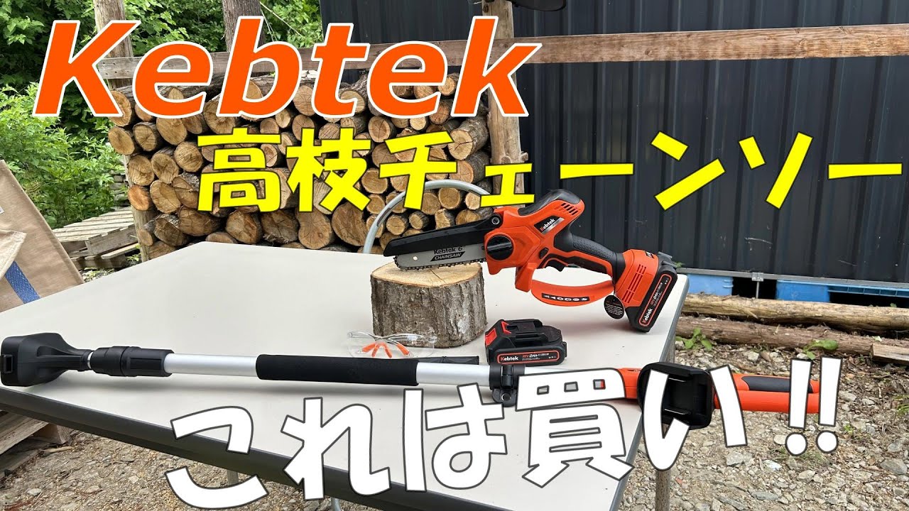 【Kebtek】高枝チェーンソーで枯れ枝の剪定！これは使える！