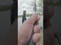 Struggling to land a CATFISH at Kendrick Lake Park with a right hand retrieve reel! #catfish #fish