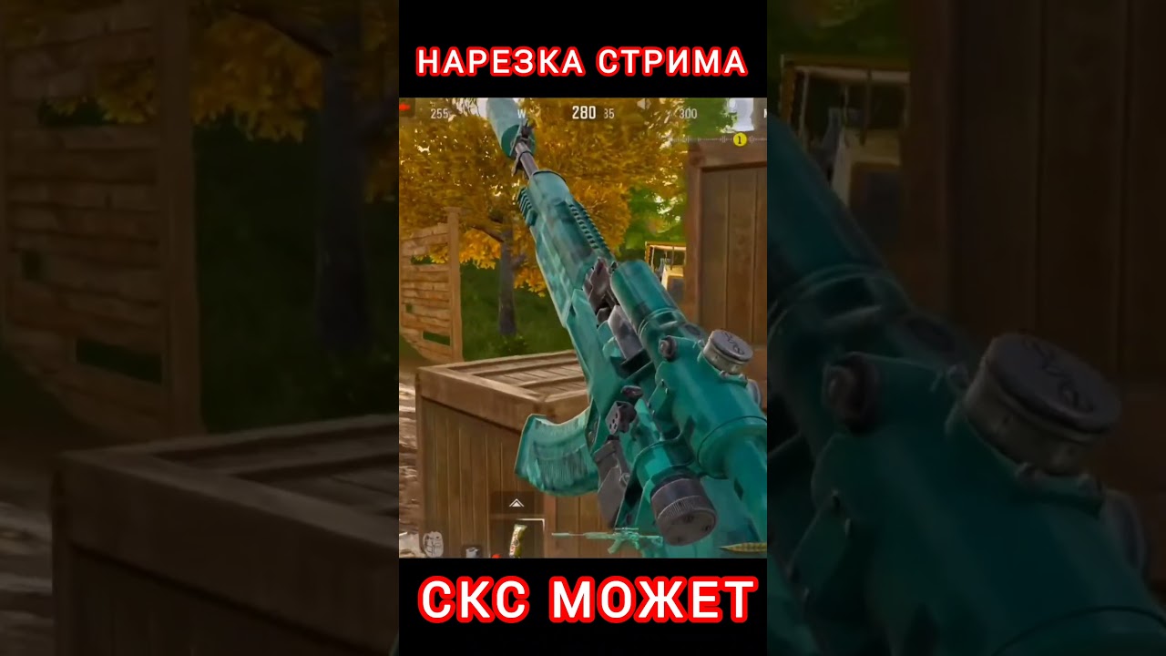 СКС в деле