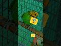 2 MINUTES 💀BAAD😨! #youtube #birds #parrot #budgies #shorts #cute
