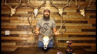 EASY DIY Euro / Skull Mount Hanging Method