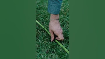 The BEST Vision AI Lawn Mower Robot 2025 - Sunseeker V3 | Boundary identification