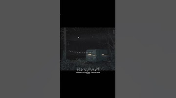 وَلُوطًا إِذْ قَالَ لِقَوْمِهِ أَتَأْتُونَ الْفَاحِشَةَ ||تلاوة خاشعة بصوت الشيخ ياسر الدوسري 💗🌿