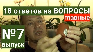 ОРХИДЕЯ В ДОМАШНИХ УСЛОВИЯХ, закрытая система и групповая посадка орхидей