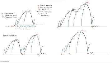 Experimental Physiology Graphs Part 1| First Year MBBS | Practical Physiology