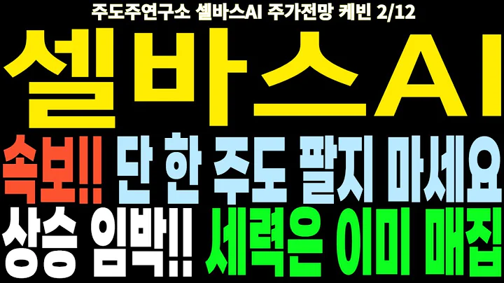 셀바스AI 주가전망] 속보!! 단 한 주도 팔지 마세요 상승 임박!! 세력은 이미 매집 feat.주도주연구소DS 케빈