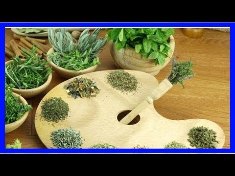 Listado de las mejores plantas antibióticas camera iphone 8 plus apk