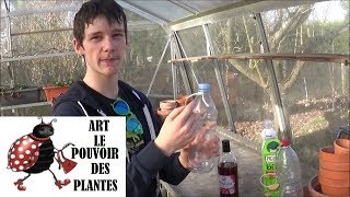 Jardinage :Comment fabriquer un piège à frelons asiatique efficace!